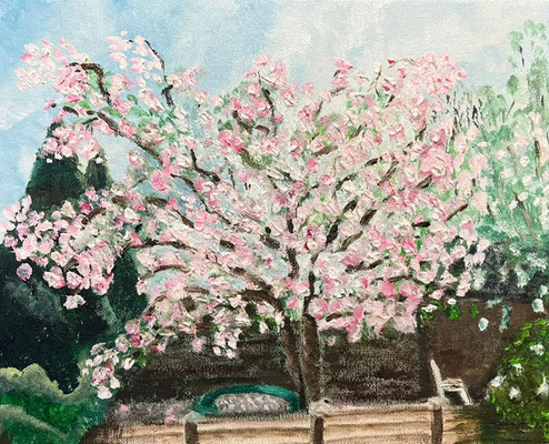 Paula's Boom - Astrid van der Voorn