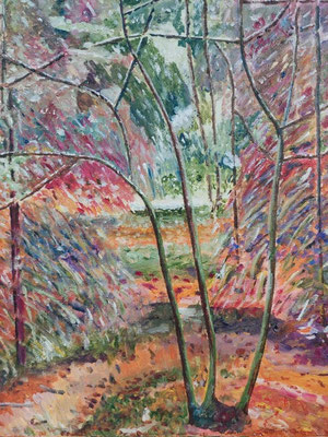 Jo en het bos - Johan de Jonge