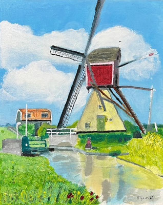 De Vlietmolen Hoogmade - Martijn Groen
