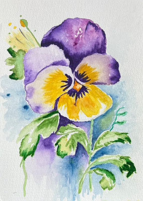 Viooltje - Regina van der Vliet