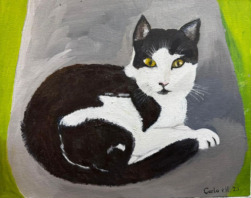 Poes - Carla van Haestregt