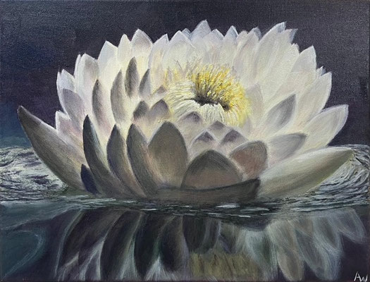 Waterlelie - Astrid van Wijk