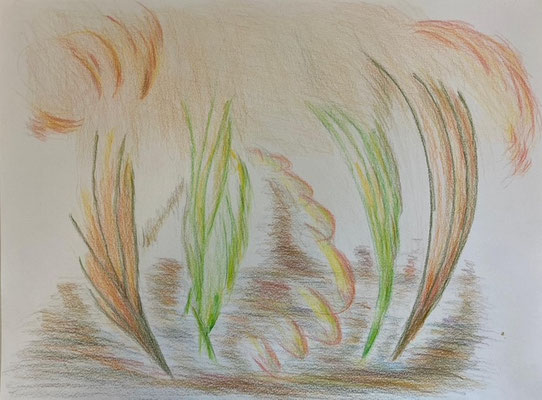 Oogsten - Marian van der Valk