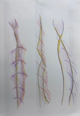 Communicatie -Marjan van der Valk