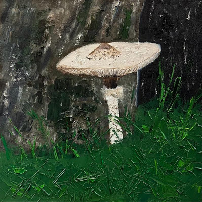Parasolzwam - Sonja Hillebrand
