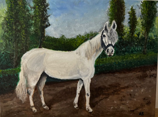 Paard - André Stout