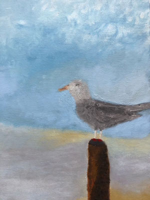 Zeemeeuw - Wilma van der Loo