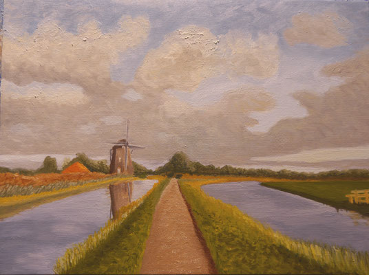 Polderlandschap , Ron van Wieringen