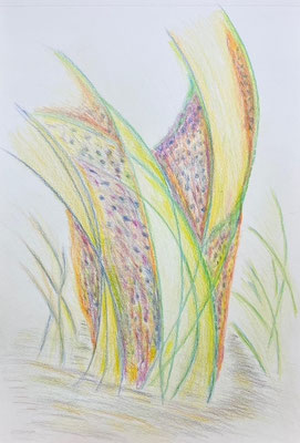 Bestaansrecht - Marian van de Valk