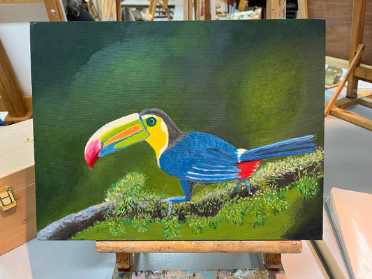 Toekan - Ben van Harten