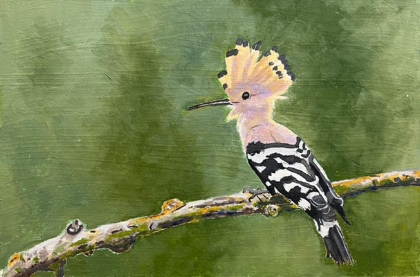 Hop - Elsebé de Ruiter