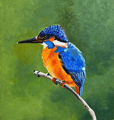 IJsvogel - Elsebé de Ruiter