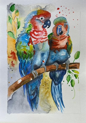 Papegaaien - Regina van der Vliet