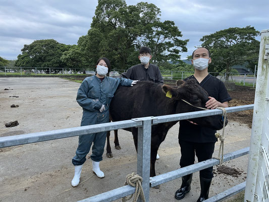 2022 - 宮崎大学 産業動物臨床繁殖学研究室（リンパン）
