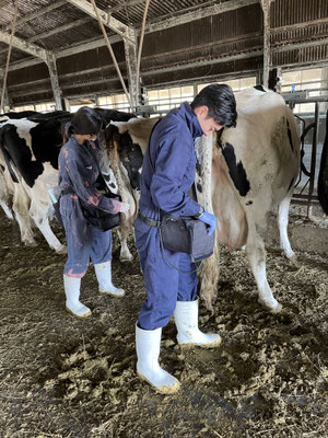 2022 - 宮崎大学 産業動物臨床繁殖学研究室（リンパン）