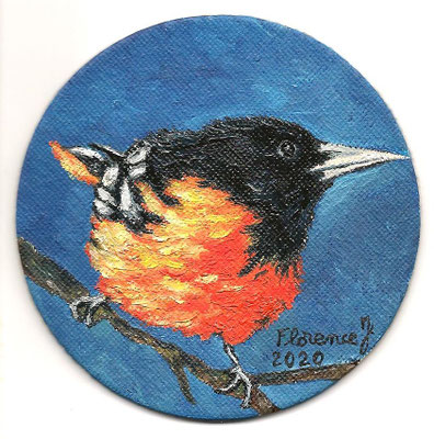 67 - L'oriole de Baltimore (2020)