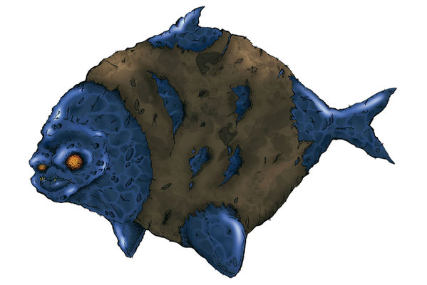 fish