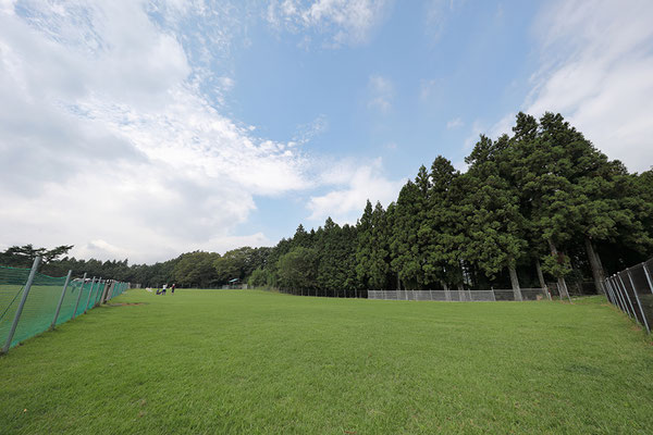 施設のご案内 足柄ドッグランcocoページ