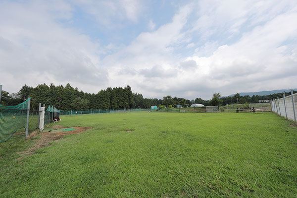 足柄ドッグランcoco ココ 駿東郡小山町 しずおかわんわんさんぽ