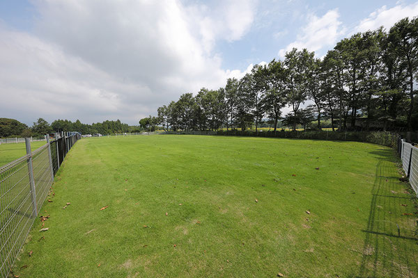 施設のご案内 足柄ドッグランcocoページ