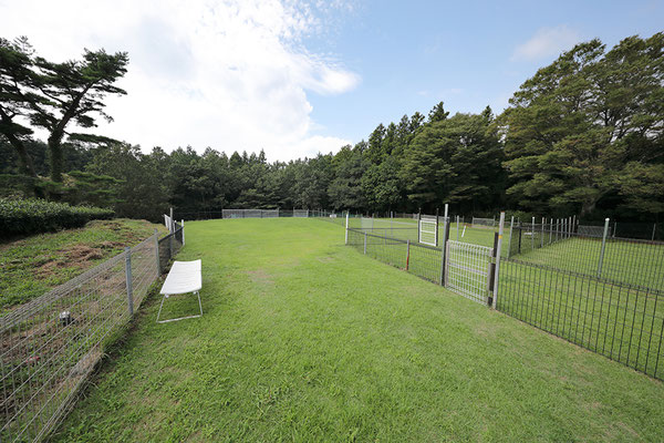 施設のご案内 足柄ドッグランcocoページ
