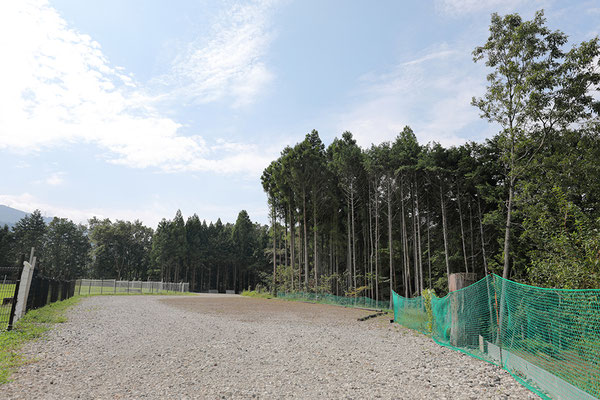 施設マップ - 足柄ドッグランCOCOページ！