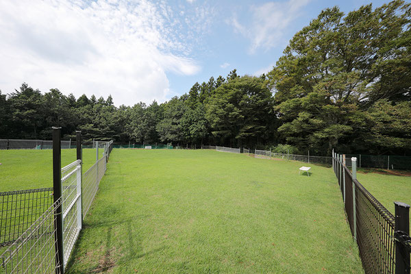 施設のご案内 足柄ドッグランcocoページ