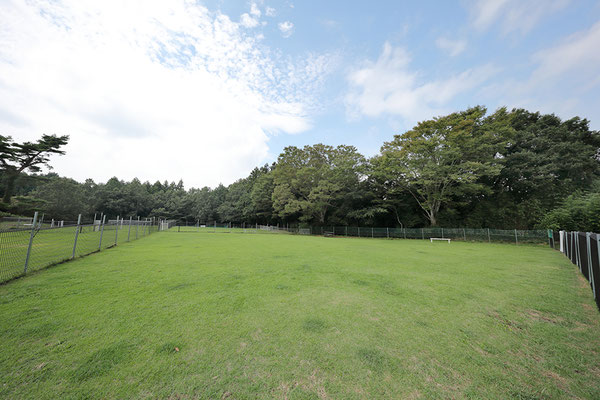 施設のご案内 足柄ドッグランcocoページ