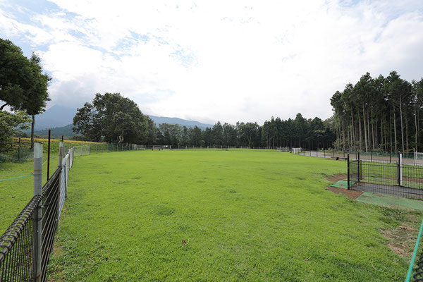 施設のご案内 足柄ドッグランcocoページ