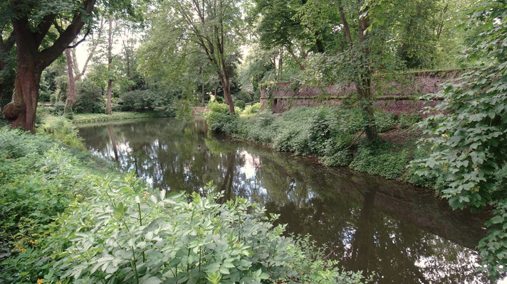 Der Spee’sche Graben ist eines der Gewässer in der Carlstadt, die aus den ursprünglichen Schutzgewässern der Festung Düsseldorf nach der partieller Schleifung der Verteidigungsanlagen ab 1802 entstand