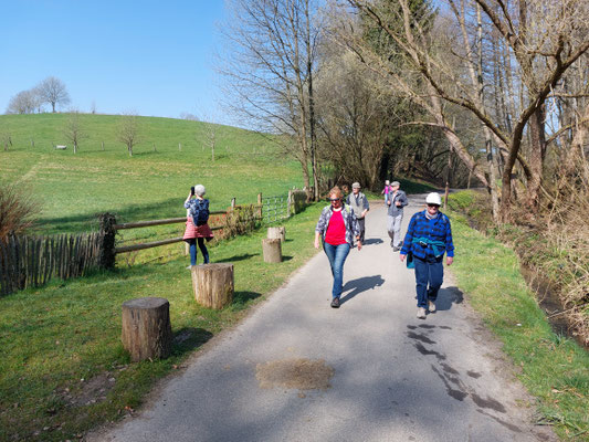 Wanderung an der Gammelsbacher Mühle 