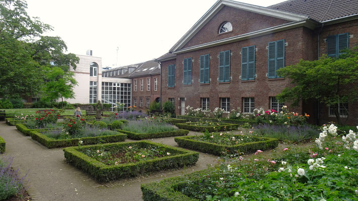  Rosengarten hinter dem Stadtmuseum