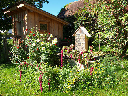 ein Paradies , auch für Insekten 