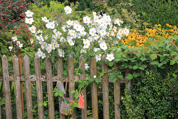 Bauerngarten