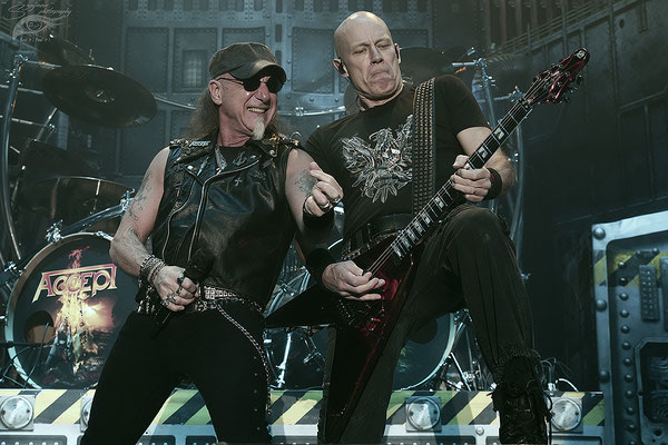 SzeymourPhotography - Accept - Brose Arena Bamberg - 04.02.2017