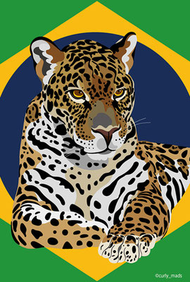 Brazil：Jaguar