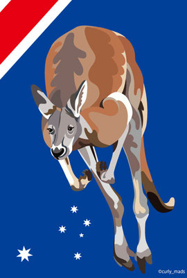 Australia：Red kangaroo