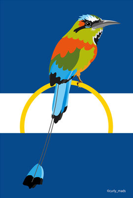 El Salvador：Turquoise-browed Motmot