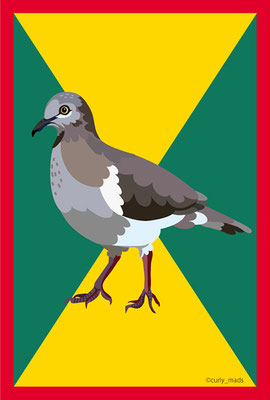 Grenada：Grenada dove 