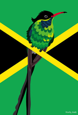 Jamaica ：Red-billed streamertail