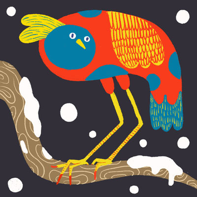 snow bird