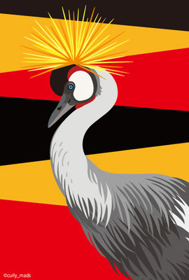 Uganda：Grey Crowned Crane