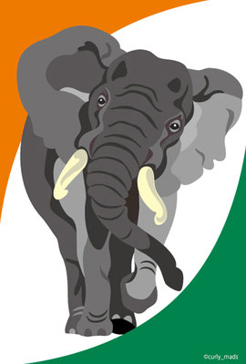 Cote d'Ivoire：African Elephant