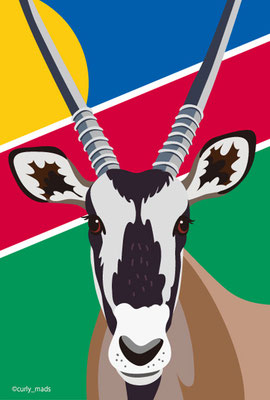 Namibia：Oryx gazella