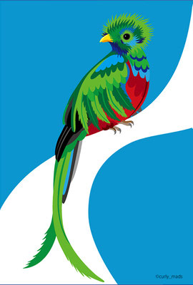 Guatemala：Quetzal