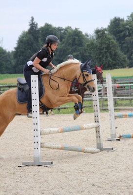 Der X-Cross Dressage als Springsattel in Aktion