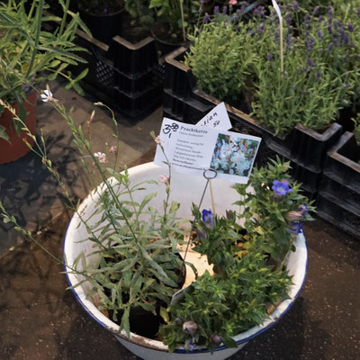 Markthalle IX . Berlin/Kreuzberg meinezeitblog