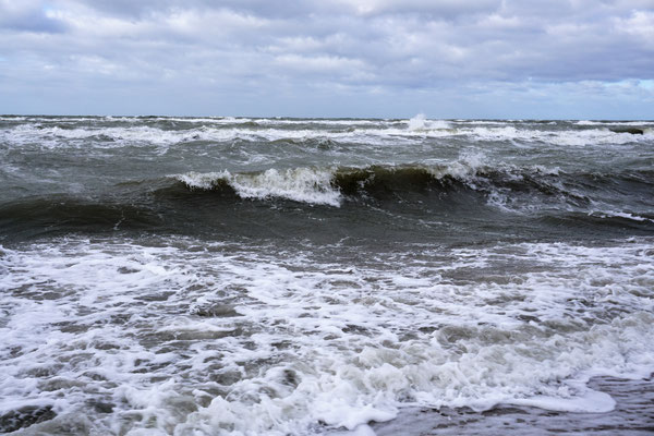 Philip Glass und das Meer