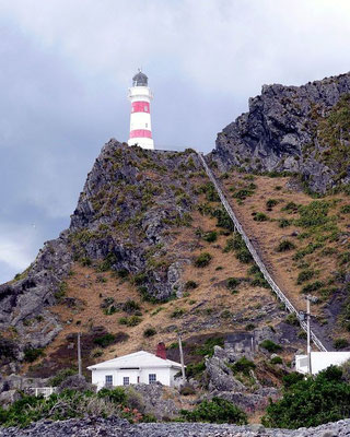 am südlichsten Punkt der Nordinsel - Cape Palliser mit dem Leuchtturm Cape Palliser Lighthouse