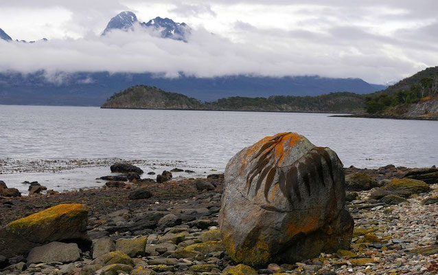 Wanderung im Nationalpark Terra del Fuego (Feuerland-Nationalpark)